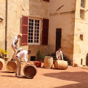 Portes Ouvertes Printemps 2026 - Repas Adulte